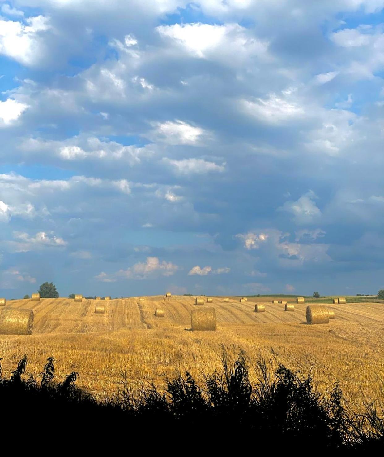 Jak Tu Ładnie - Osada domków nad jeziorem Mikołajki Exterior foto